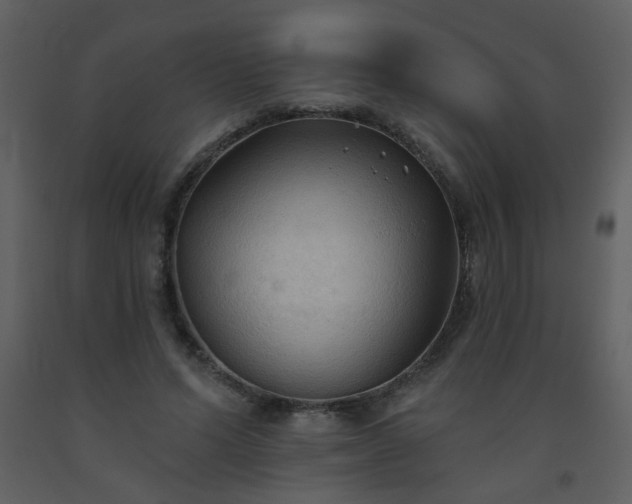 X0000093560591200710221424