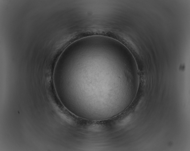 X0000093560593200710221424