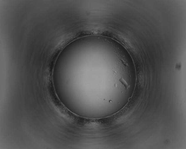 X0000093560594200710221424