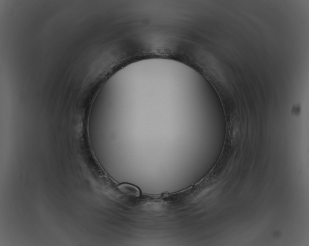 X0000093560595200710221424
