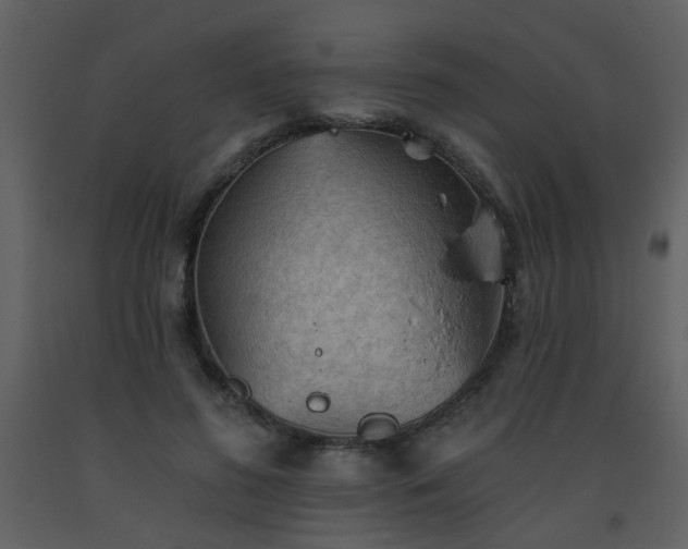 X0000093560596200710221424