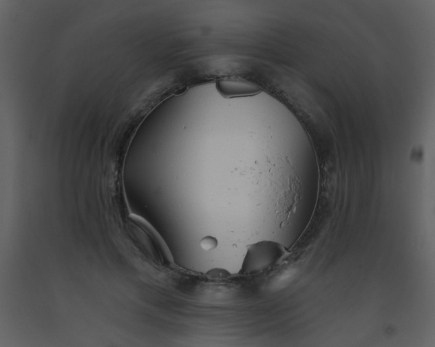 X0000093560597200710221424