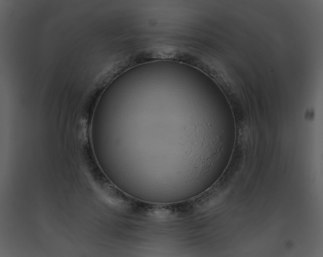 X0000093560598200710221424