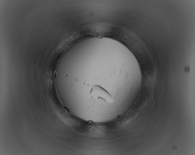 X0000093560599200710221424