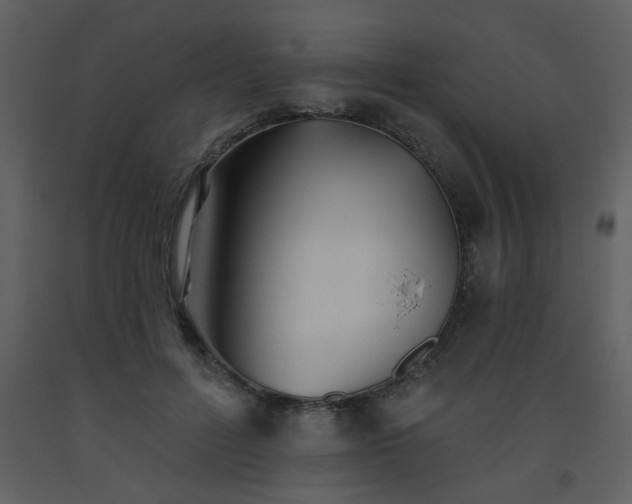 X0000093560600200710221424