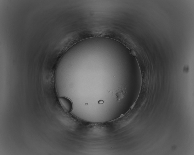 X0000093560601200710221424
