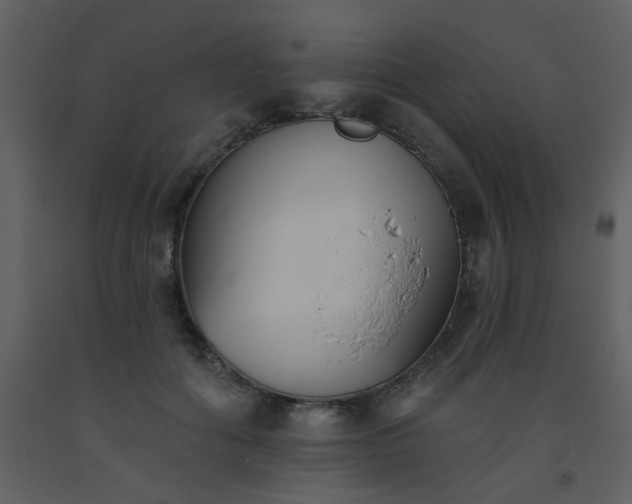 X0000093560602200710221424