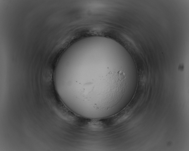 X0000093560603200710221424