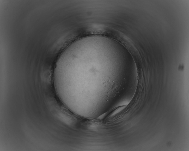 X0000093560604200710221424