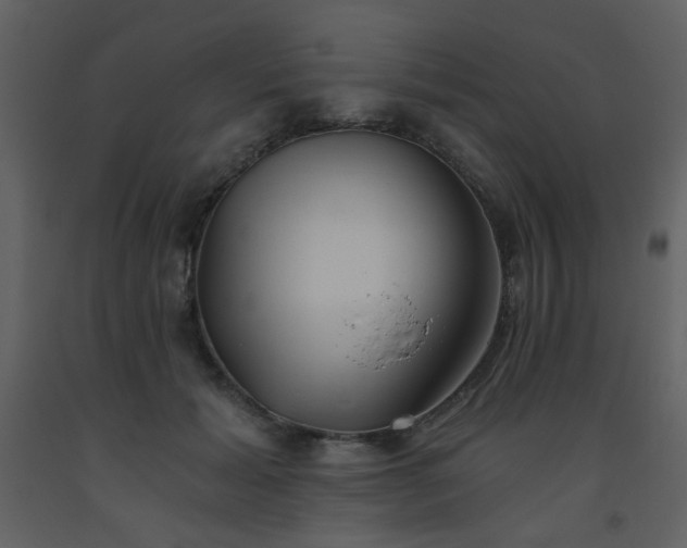X0000093560605200710221424