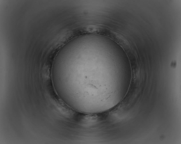 X0000093560606200710221424
