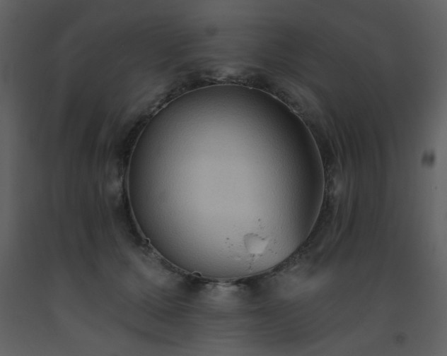 X0000093560607200710221424