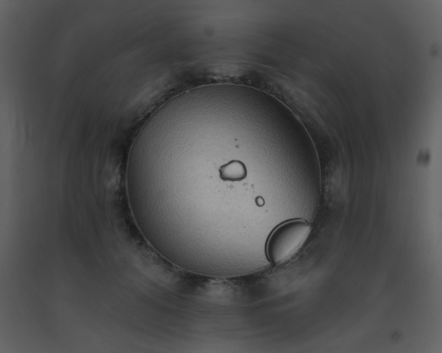 X0000093560608200710221424