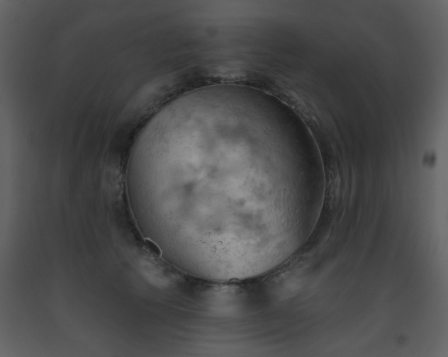X0000093560609200710221424