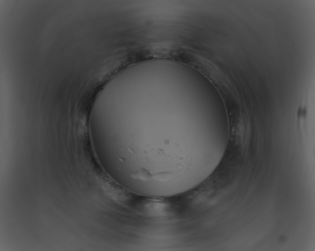 X0000093560610200710221424