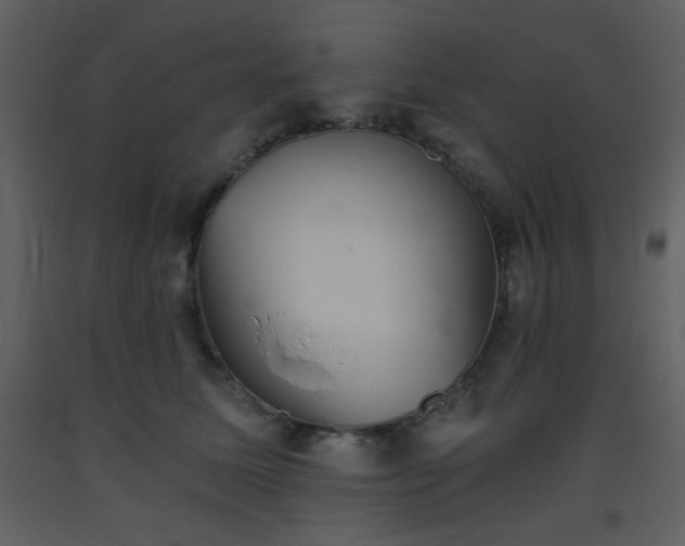 X0000093560611200710221424
