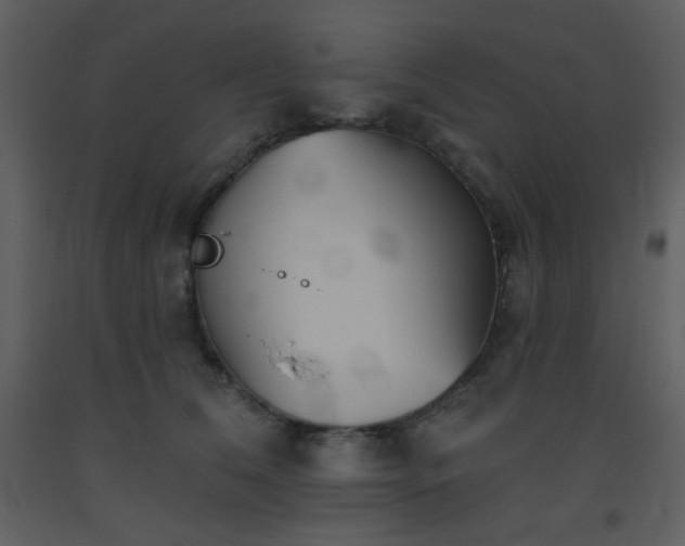 X0000093560612200710221424