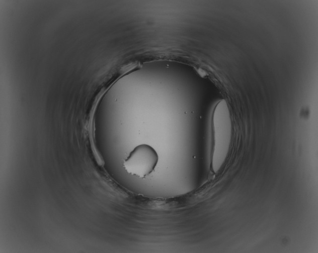 X0000093560613200710221424