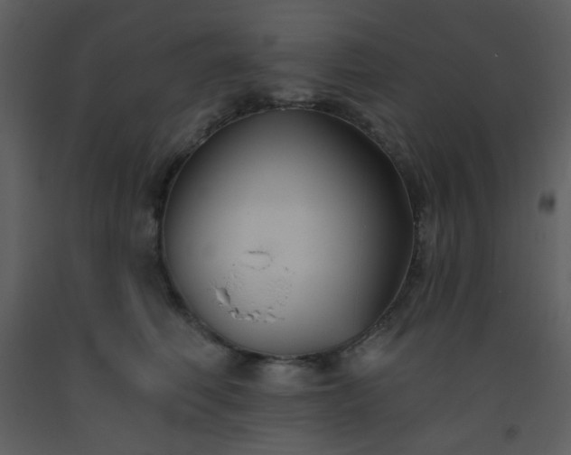 X0000093560614200710221424