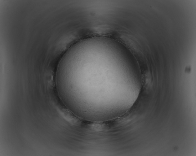 X0000093560615200710221424