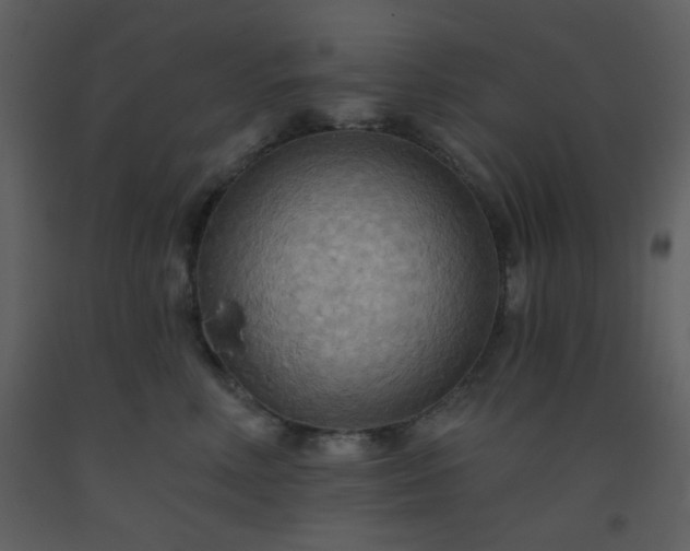 X0000093560618200710221424