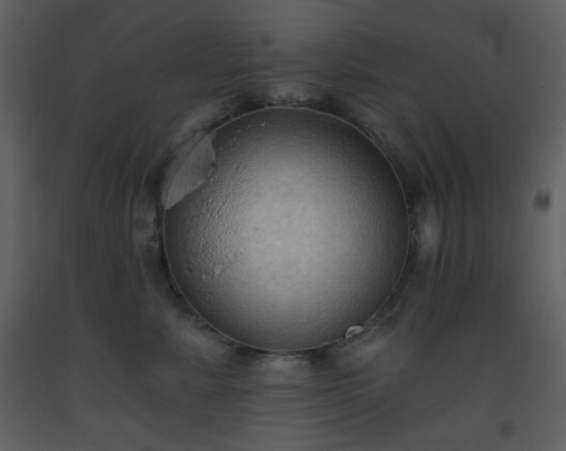 X0000093560619200710221424