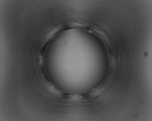 X0000093560621200710221424