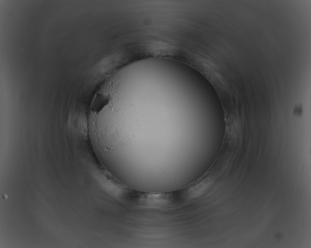 X0000093560622200710221424