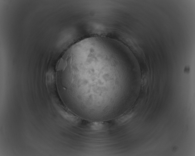 X0000093560623200710221424