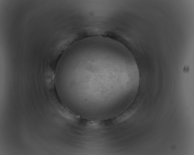 X0000093560624200710221424