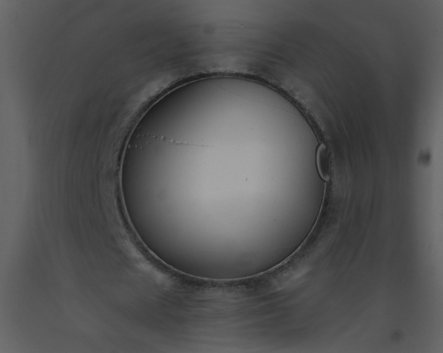 X0000093560625200710221423