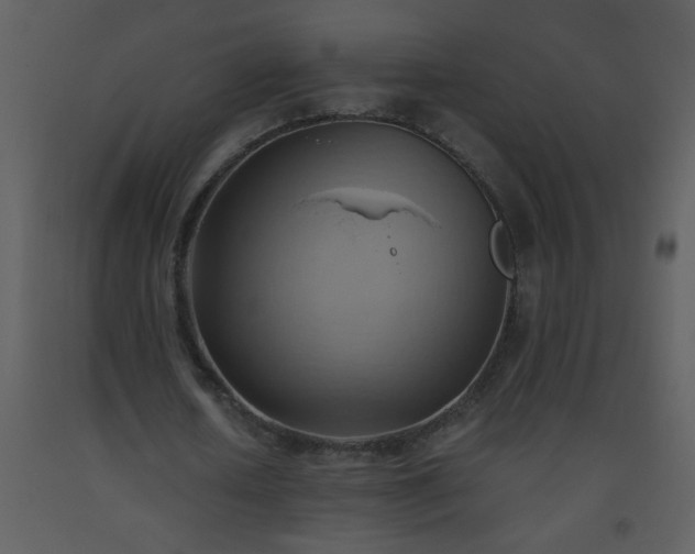 X0000093560626200710221423