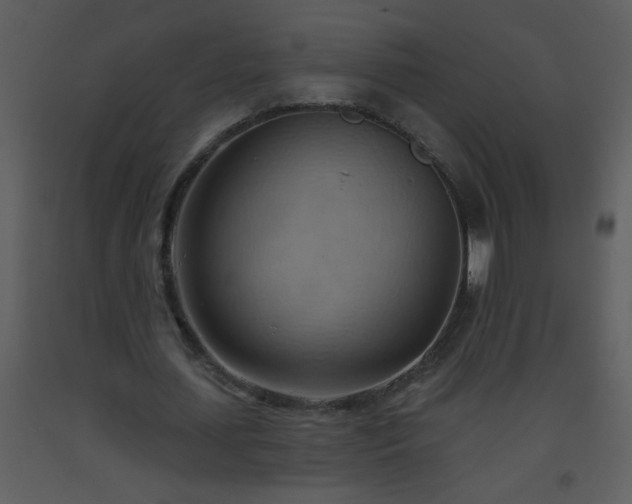 X0000093560627200710221423