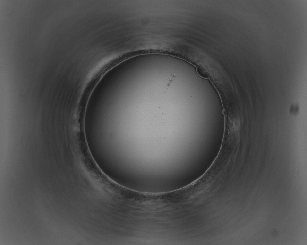X0000093560628200710221423