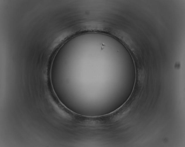 X0000093560629200710221423