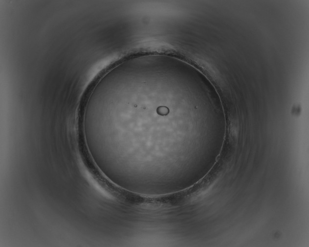 X0000093560630200710221423