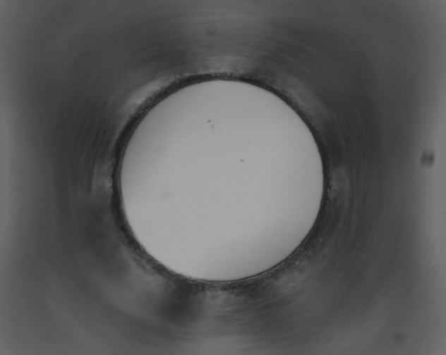 X0000093560632200710221423