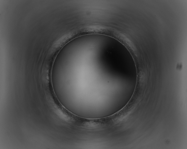 X0000093560633200710221423