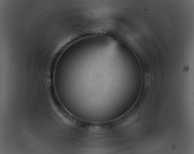 X0000093560634200710221423