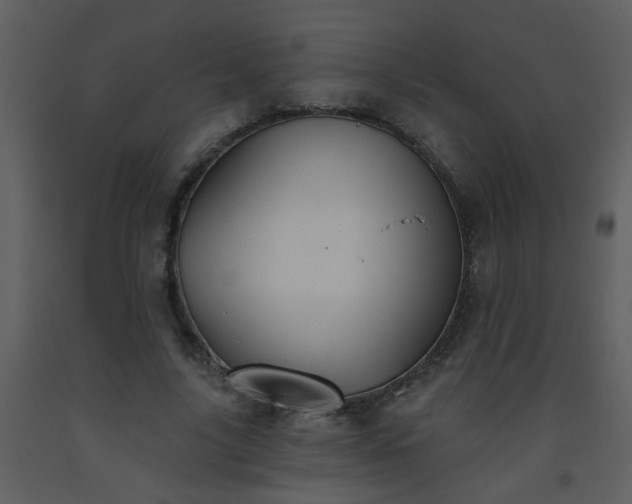 X0000093560635200710221423