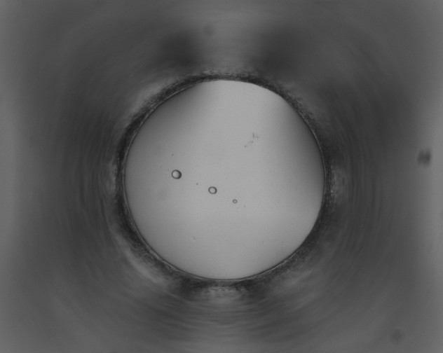 X0000093560636200710221423
