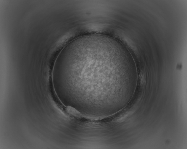 X0000093560637200710221423