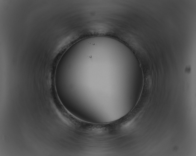 X0000093560638200710221423