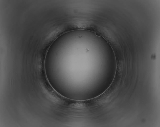 X0000093560639200710221423