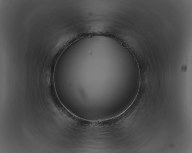 X0000093560640200710221423