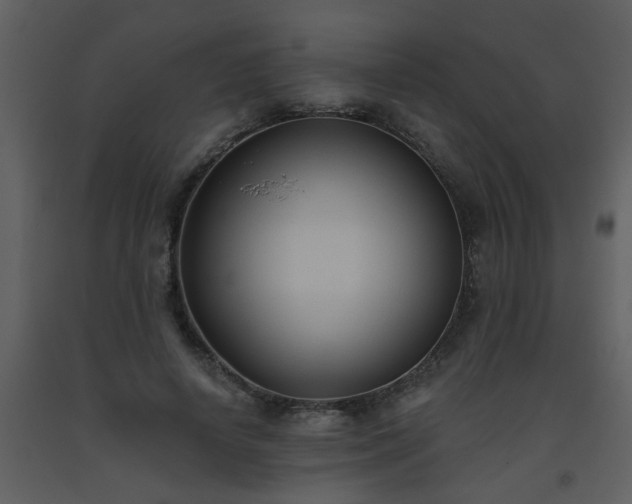 X0000093560642200710221423