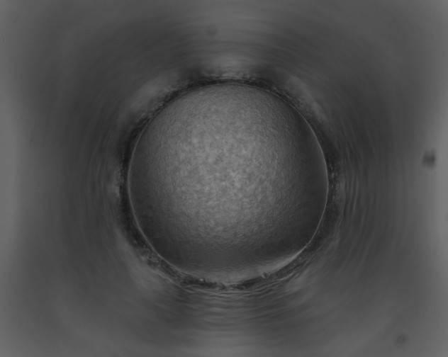X0000093560643200710221423