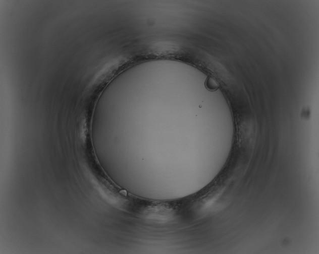 X0000093560644200710221423