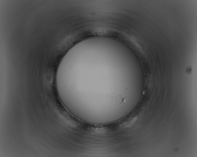 X0000093560645200710221423