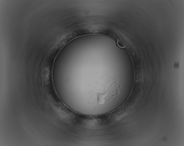 X0000093560646200710221423